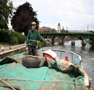 on the river trent